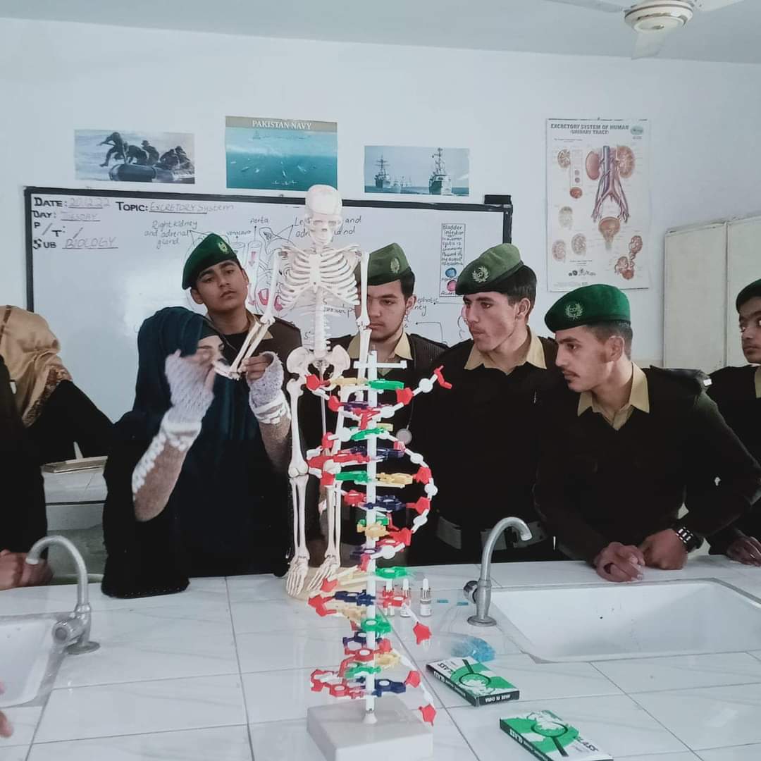 Cadets studying anatomy models in the biology laboratory